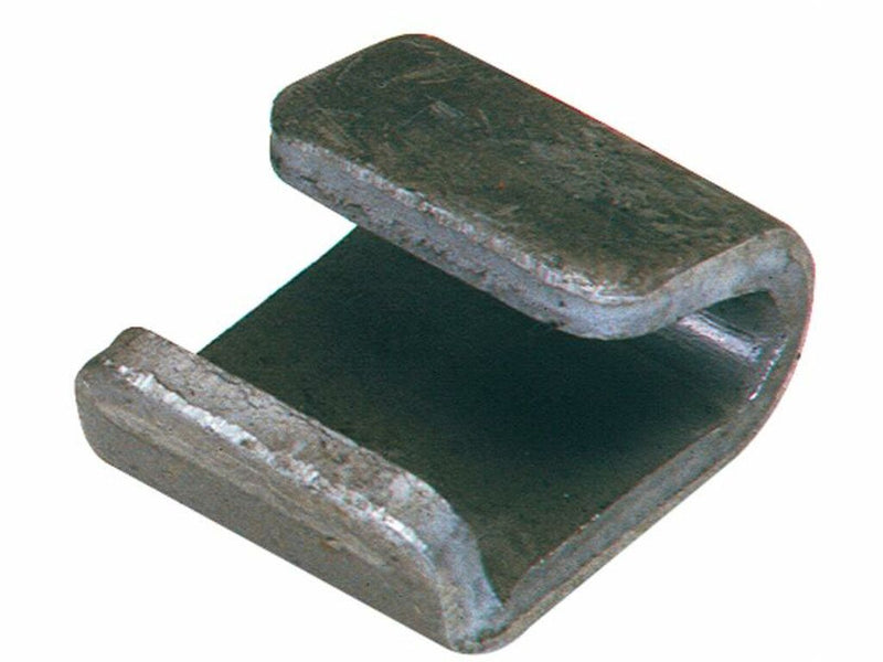 Cerniera sovrasponda pesante Ø 12mm (1)